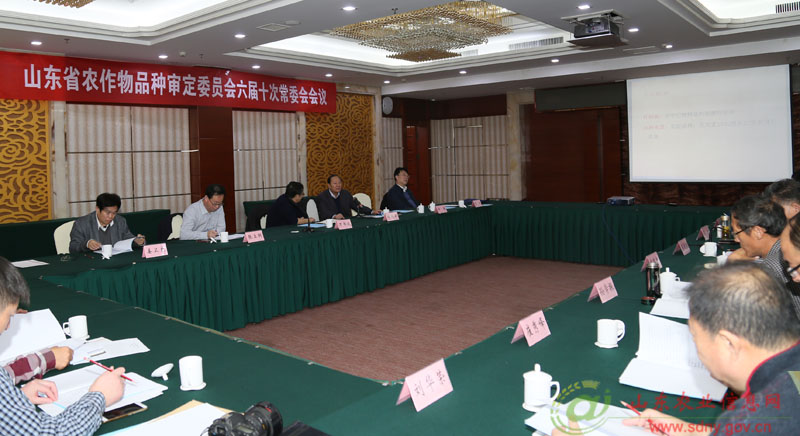    山东7个小麦新品种通过审定